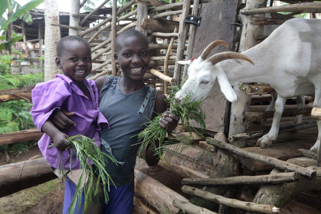 Buwamdelema Village, Mbale District, Eastern Region, Uganda Sandra Nabwire, 16 years old, and Edward Wanyama, 4 years old, feed the family goat fodder at their home in Buwandelema village on Friday May 20, 2011.